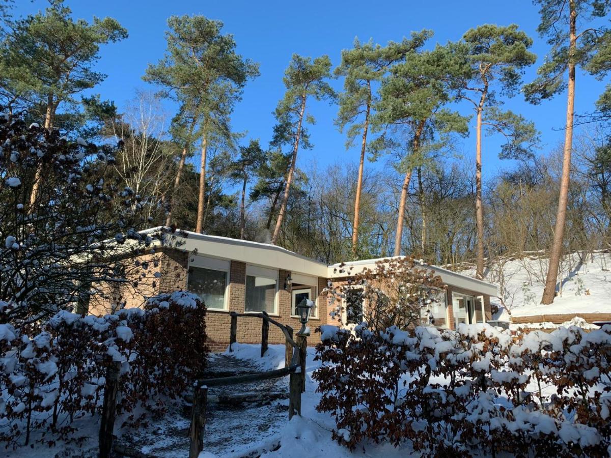 Het Fazantenbosje Dalfsen Exterior photo